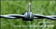 @CRomozon