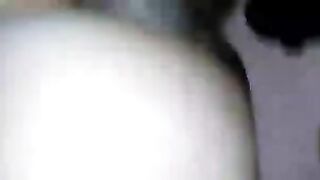 chatte mouillé