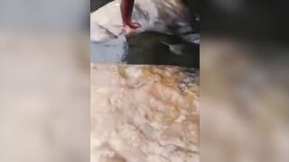 Elles se lavent en public