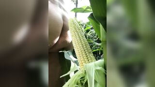 PD masturbant le cul avec frais maïs