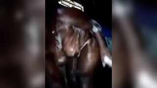 gros seins joufflus se lavant avec du savon