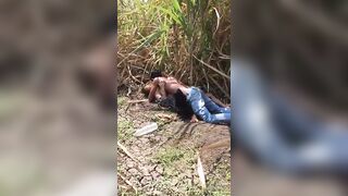 Attrapés dans les herbes