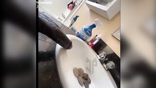 Gros pénis