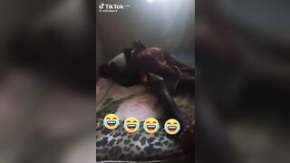 Ne bé toroke a la