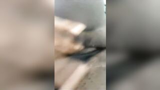 VID_20231013_024841_136