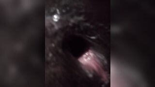 VID_20231026_020050_293