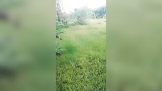 Un couple hindou surpris en plein ébats sexuels dans la brousse