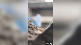 Le cameraman croyais qu'il fait le pipis alors qu'il se masturbe à côté de la voiture garé
