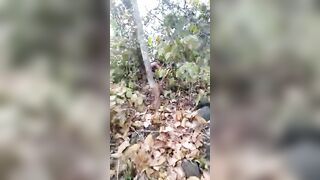 Couple indien infidèle dans la forêt ; il est entrain de lui déchirer sa chatte en écartant bien ses jambes