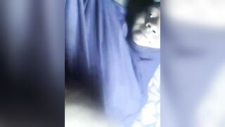 Chatte noire
