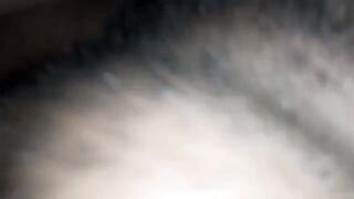 Chatte mouillé  4