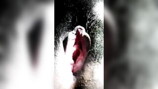 Chatte mouillé et en forme