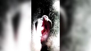 Chatte mouillé et en forme