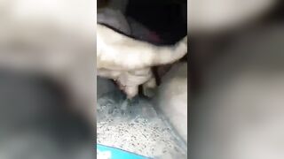 Elle vraiment excité