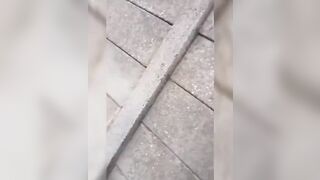 Petite baise rapide dehors avec ma copine.