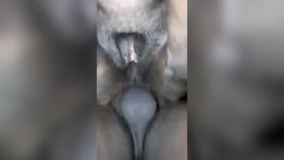 La plus grosse chatte de appotchou