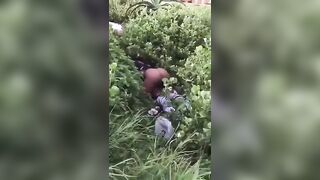 Surprise dans les herbes