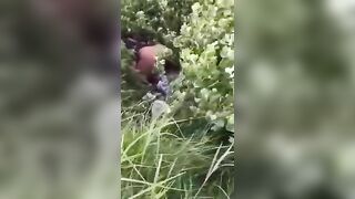 Surprise dans les herbes