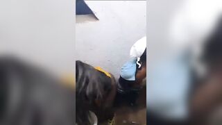 Les élèves là ne blague plus elle se fait défoncés comme une pute