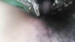 A la forêt