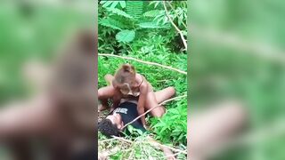 Baise dans la forêt