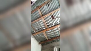 bebe tu veut ou pas?