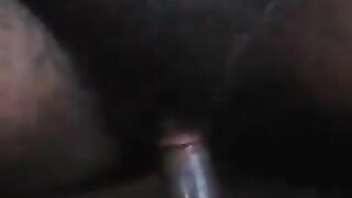 Haousa  djoukely
