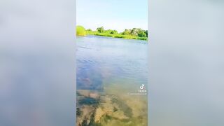 Ko Segou est Dou vidéo fuite sur TikTok