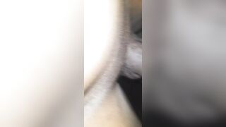 Une bonne chatte poilue
