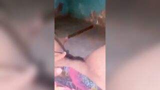 Chatte Mauritanie