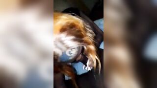Elle me fait la meilleure pippe et je jouis 6