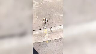 Old street hooker