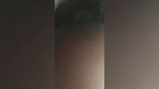 Chatte crémeuse.