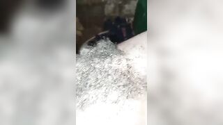 Sirani de grantiguibougou