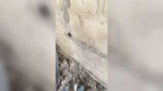 Le maçon et sa go partie 02