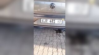 Au cours du voyage ils ont un arrêt pour prendre plaisir avec son petite amie