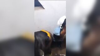 Les gens sont venus les trouver en pleine action, ce sont les élèves du lycée