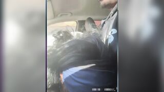 Elle a  voulu me faire causer un accident de circulation