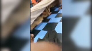 Les camarades d'une classe de lycée organise pour baise une jeune fille de leur class