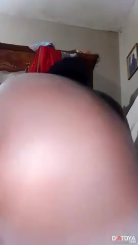 chatte bien rasse mamy djou doumani