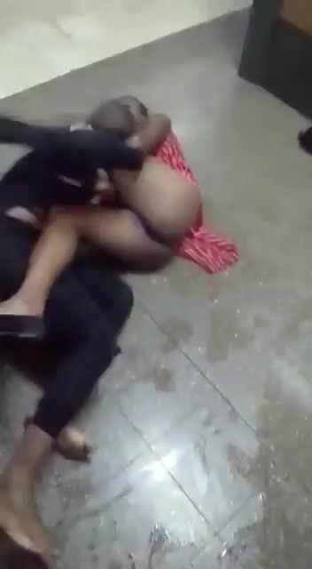 Quand deux catte se frappe