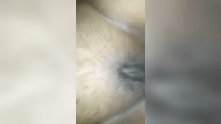 Grosse bawalan Mauritanienne