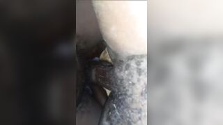 chatte poilus de sextape