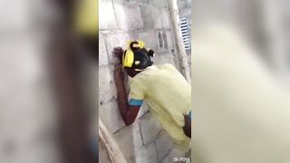 Compilation Diatoya ( publique )