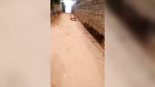 Que faites-vous là?